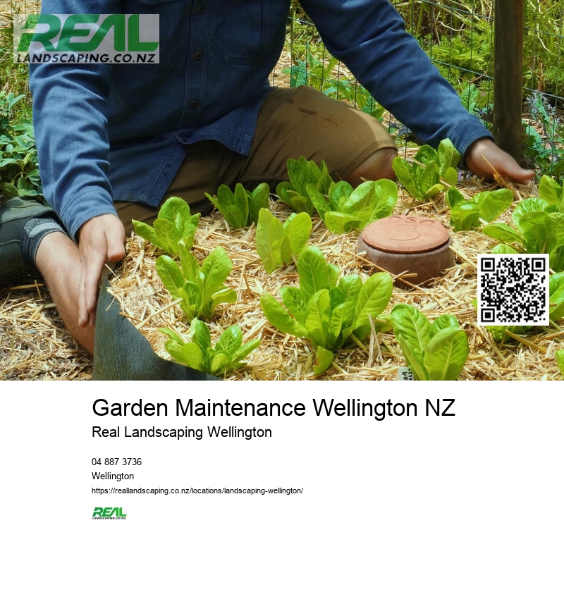 Gardening Services Upper Hutt