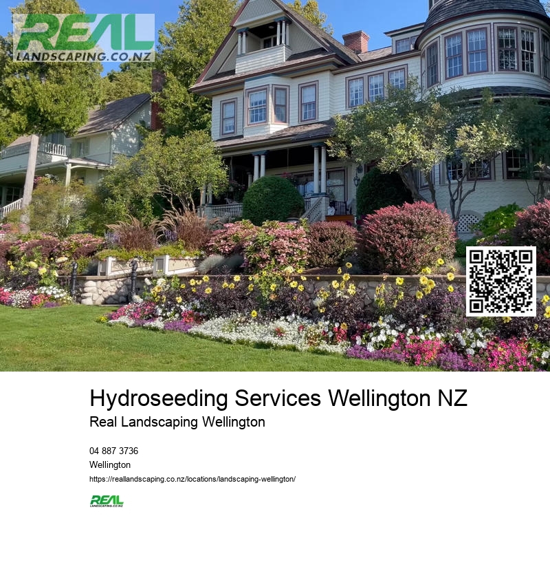 Hydroseeding Services Wellington NZ