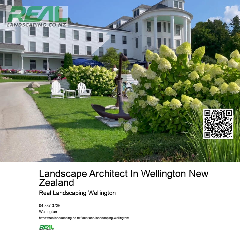 Landscaping Wellington NZ