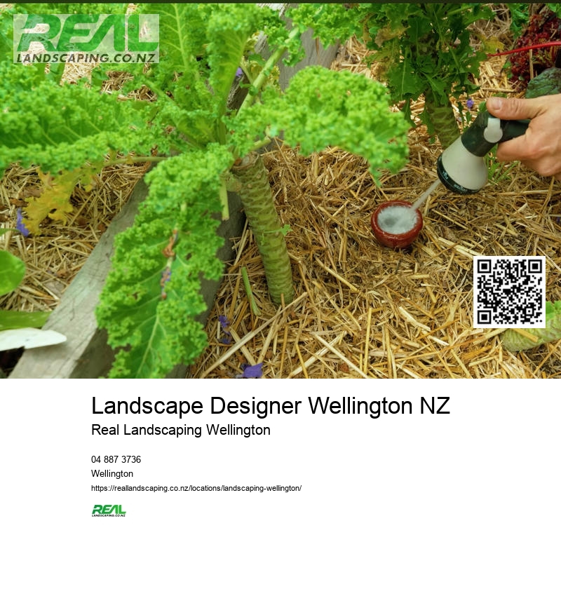 Lawn Care Services Wellington NZ