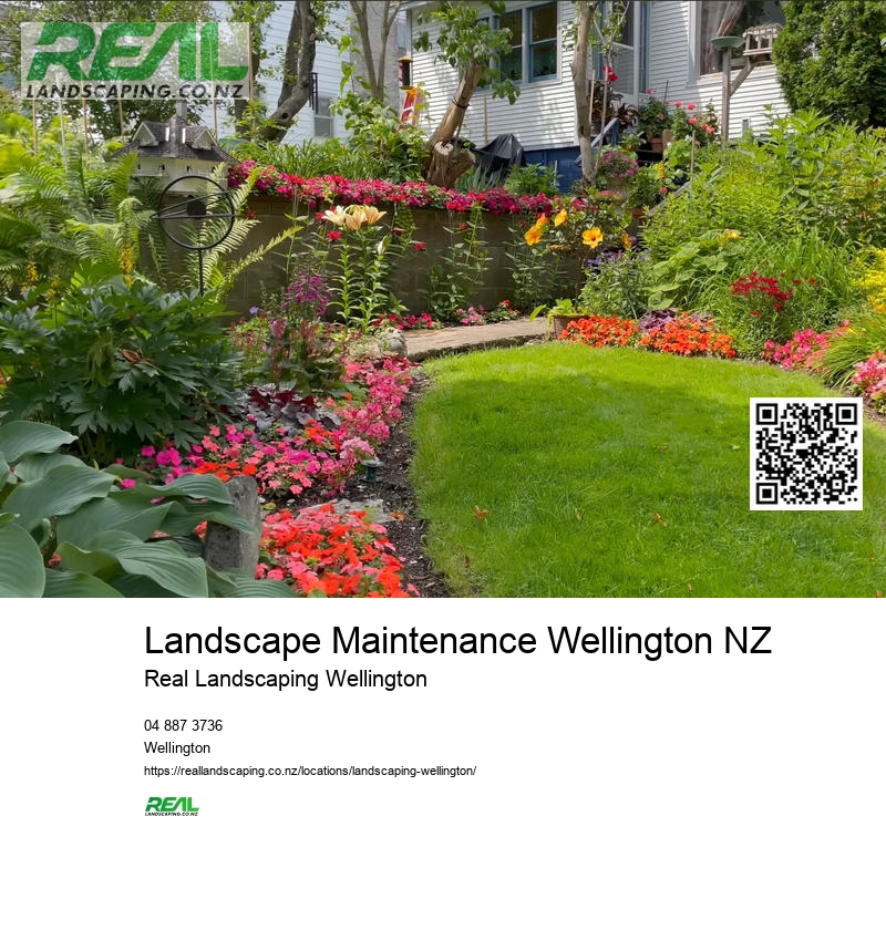 Best Irrigation System NZ