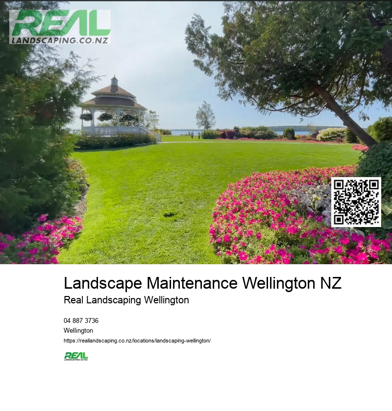 Drought-resistant Landscaping NZ