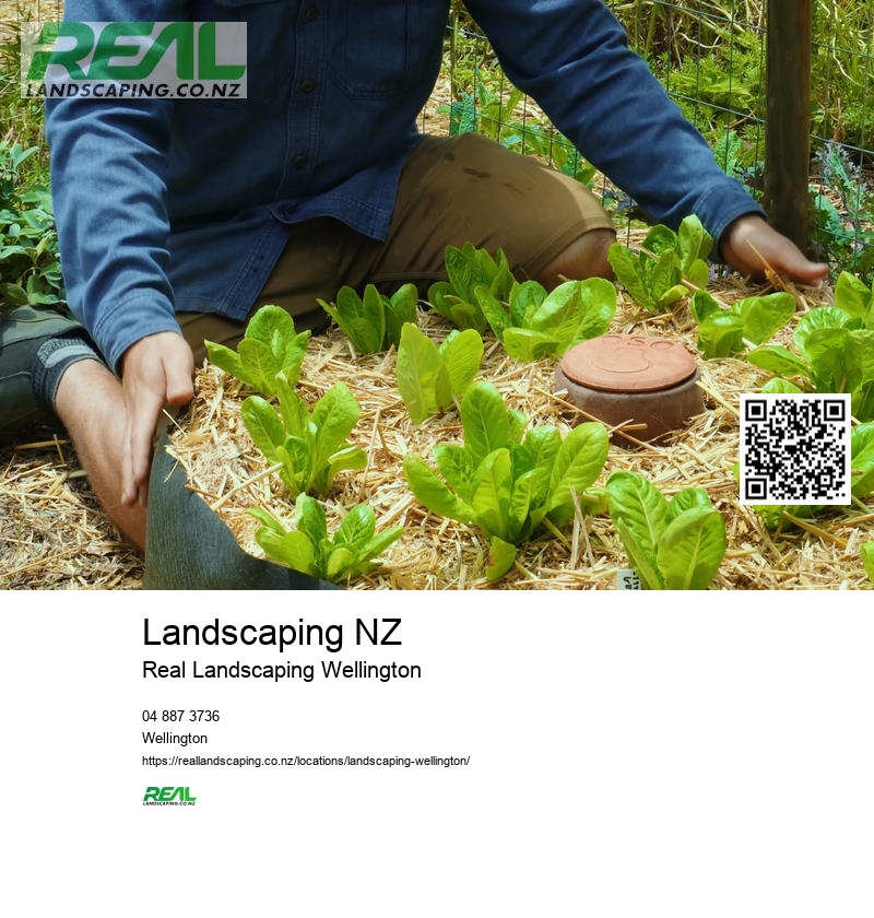 Hydroseeding Services Wellington