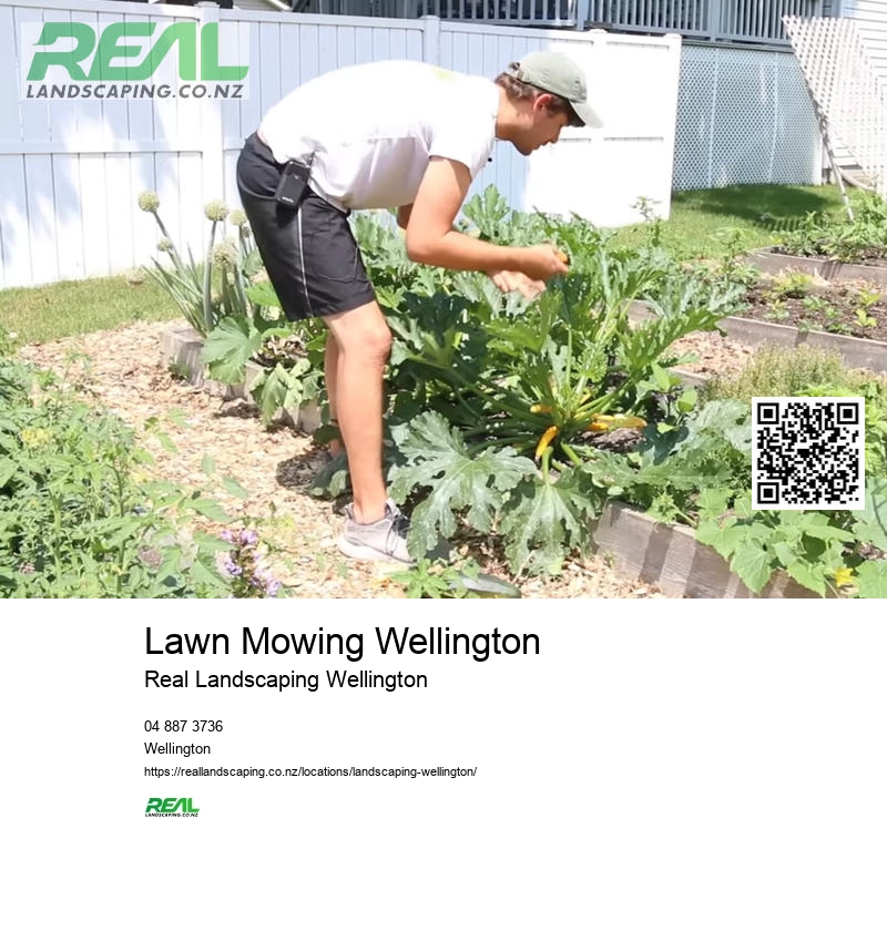 Landscaping Services Wellington