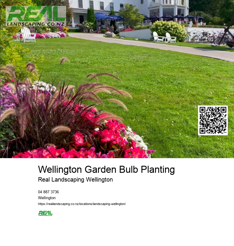 Lawn Care Services Wellington NZ