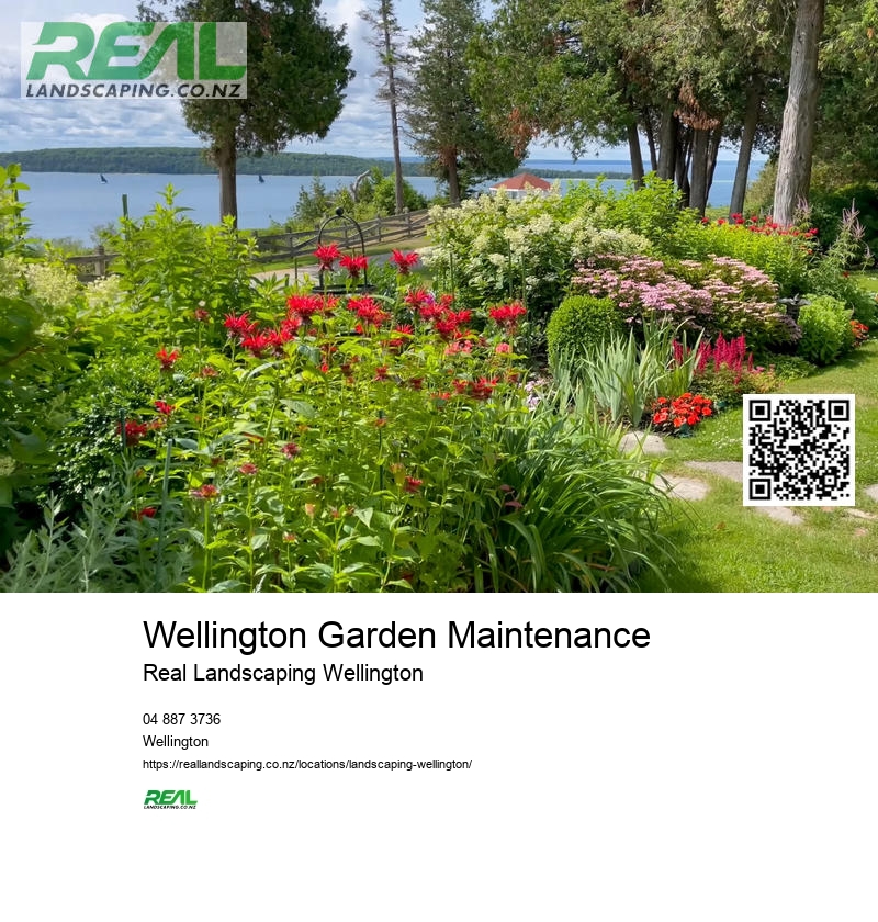 Wellington Garden Drought-tolerant Planting