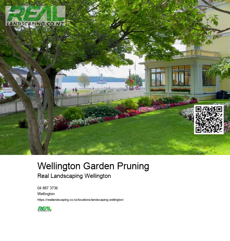 Landscape Architect Wellington NZ