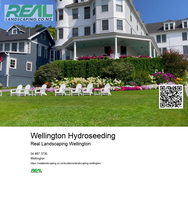 Hydroseeding Wellington NZ