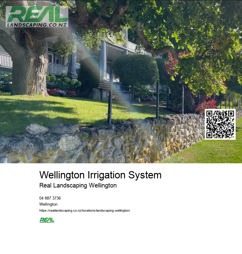 Professional Garden Services Wellington