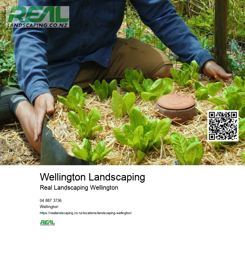 Wellington Drought-tolerant Plants