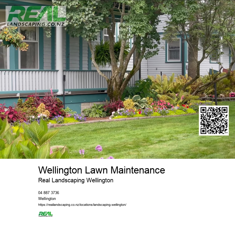 Wellington Garden Drought-tolerant Planting